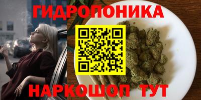 ALPHA PVP Ставрополь